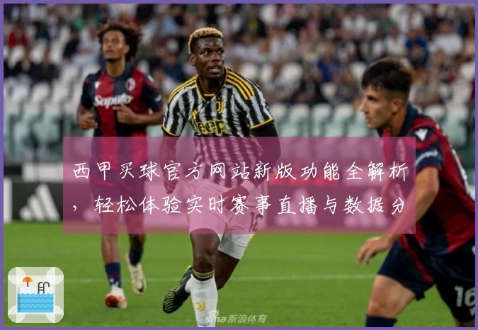 西甲买球官方网站新版功能全解析,轻松体验实时赛事直播与数据分析